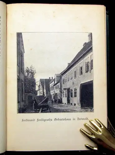 Schröder Ferdinand Freiligraths sämtliche Werke 6 Bde. in 2 um 1895 Lyrik js