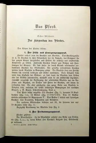 Steuert Das Buch vom gesunden und kranken Haustier 1914 Wissen Tierarzt mb