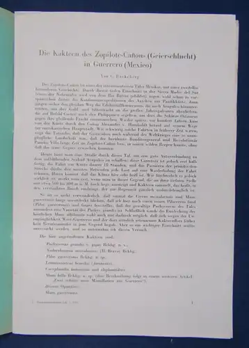 Beiträge zur Sukkulentenkunde und Pflege Lieferung 1-3 1941 Pflanzenkunde js