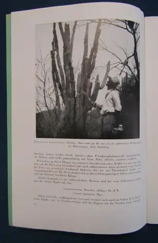 Beiträge zur Sukkulentenkunde und Pflege Lieferung 1-3 1941 Pflanzenkunde js