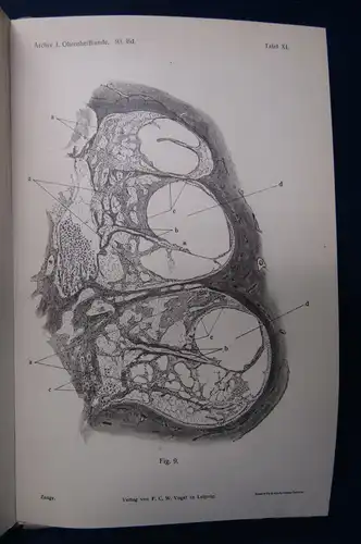 Politzer/Schwartze Archiv für Ohrenheilkunde 58 Bände um 1900 Medizin Wissen sf