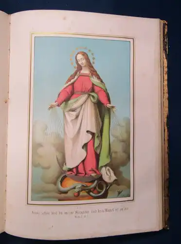 Bayerle Römisch- Katholisches Epistel- und Evangelienbuch 1869 Theologie  js