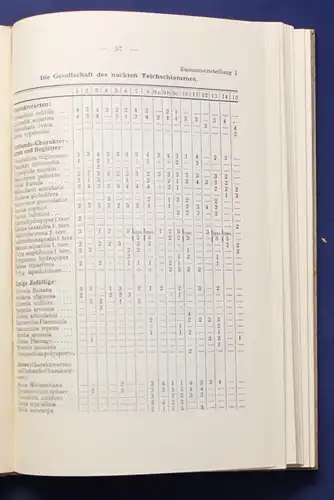 XXIII: Bericht der Naturwissenschaftlichen Gesellschaft zu Chemnitz 1931 js