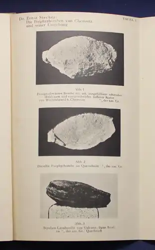 XXIII: Bericht der Naturwissenschaftlichen Gesellschaft zu Chemnitz 1931 js