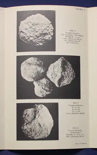 XXIII: Bericht der Naturwissenschaftlichen Gesellschaft zu Chemnitz 1931 js