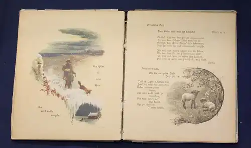 Himmelan! Biblische Texte m. geistlichen Liedern für jeden Tag im Monat 1890 js