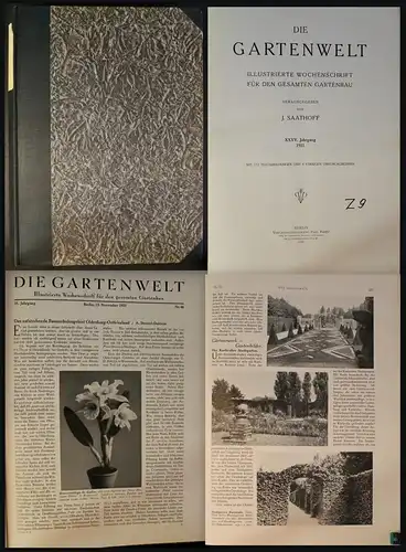Saathoff - Die Gartenwelt - Illustrierte Wochenschau 35. Jg. 1931 - Botanik -xz