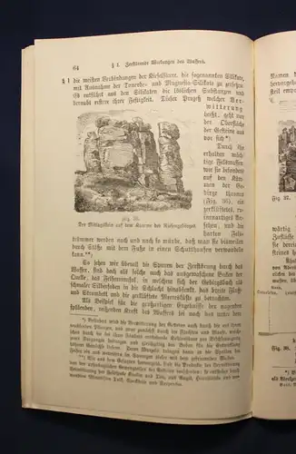 Bail Methodischer Leitfaden für den Unterricht in der Naturgeschichte 1918 js