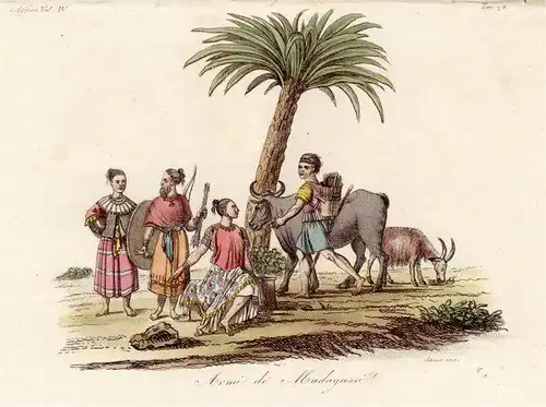 Kupferstich Afrika Madagaskar Ostafrika Tracht 1825 Sasso handkoloriert Grafik
