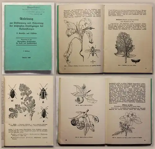 Bestimmung & Bewertung der wichtigsten Schädigungen der Kulturpflanzen 1939 xy