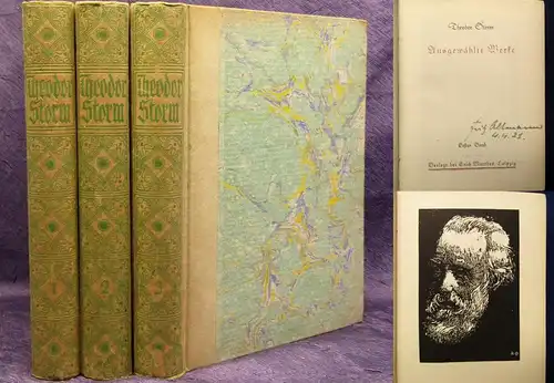 Thedor Storm Ausgewählte Werke 1-3 komplett 1919 Klassiker Literatur js