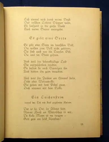 Thedor Storm Ausgewählte Werke 1-3 komplett 1919 Klassiker Literatur js