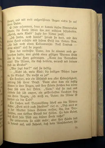 Thedor Storm Ausgewählte Werke 1-3 komplett 1919 Klassiker Literatur js