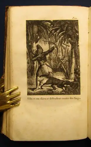 Le Robinson De Douze Ans Histoire Interessante D`un Jeune Mousse Francais 1836 j