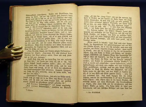 Gerstäcker Gesammelte Schriften Inselwelt um 1870 Belletristik mb