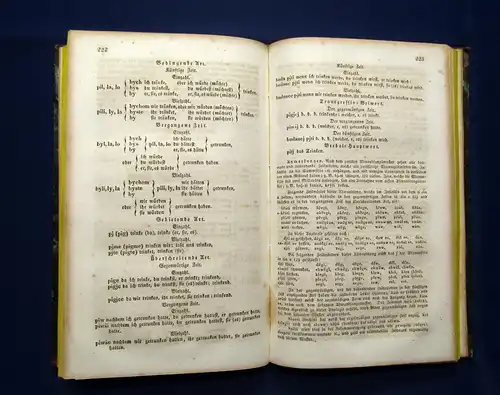 Burian Lehrbuch der böhmischen Sprache für Deutsche 1843 Geschichte mb