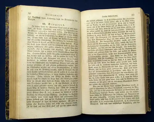 Schönholz Handbuch aller Wissenschaften Wesen, Entwicklung 1839 Philologie js