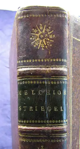 Melchior Striegel Ein heroischepisches Gedicht für Freunde 1799 Belletristik sf