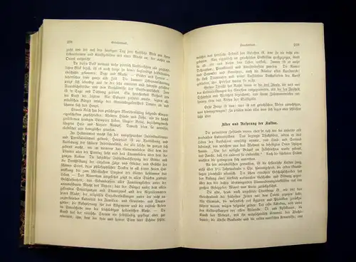 Honegger Allgemeine Kulturgeschichte 1882/86 2 Bände komplett Geschichte mb