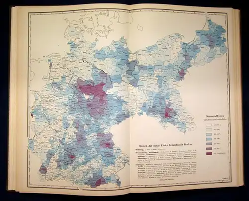 Engelbrecht Die Feldfrüchte des deutschen Reichs 1. Teil 41 Karten 1928 js