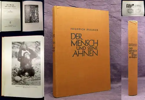 Maurer Der Mensch und seine Ahnen 1928 Naturforschung js