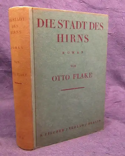 Flake Die Stadt des Hirns Roman 1919 EA Belletristik Literatur Erzählung js