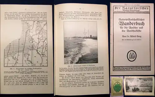 Berg Der Naturforscher Naturwissenschaftliches Wanderbuch um 1900 Nordsee js