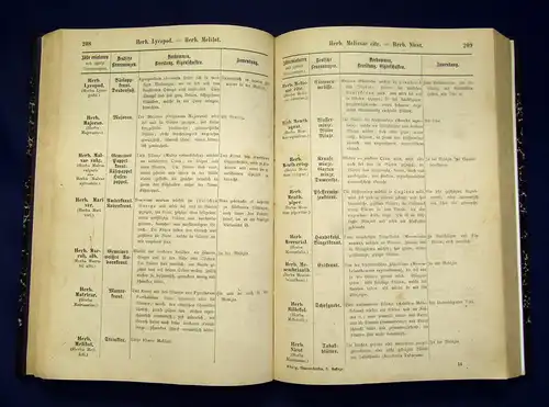 Heith Drogerie-,Spezerei- und Farb-Warenlexikon 1879 Lexikon Lexica Drogerie mb