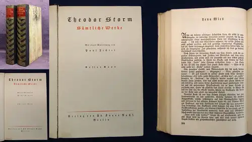 Theodor Storm Sämtliche Werke in 2 Bänden um 1920 Klassiker Belletristik js