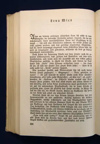 Theodor Storm Sämtliche Werke in 2 Bänden um 1920 Klassiker Belletristik js