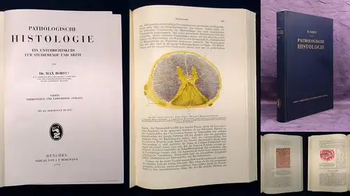 Borst Pathologische Histologie ein Unterrichtskurs für Studierende 1950 js