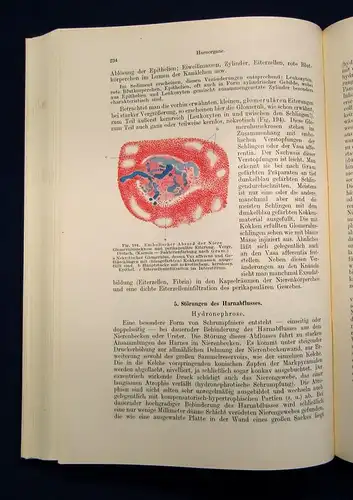 Borst Pathologische Histologie ein Unterrichtskurs für Studierende 1950 js