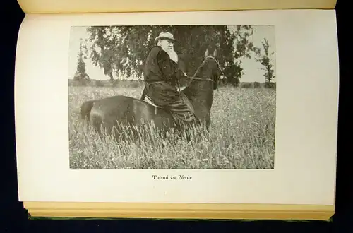 Rolland Das Leben Tolstois 1922 Belletristik Klassiker Romane Literatur mb