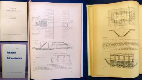 Kreuz Teichbau und Teichwirtschaft 25 Zahlentafeln 51 Abbildungen 1951 js