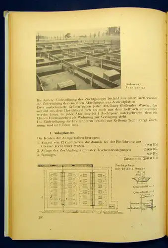 Kreuz Teichbau und Teichwirtschaft 25 Zahlentafeln 51 Abbildungen 1951 js