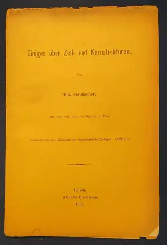 Stauffacher Einiges über Zell- und Kernstrukturen 1903 1 Tafel u. 4 Figuren   js