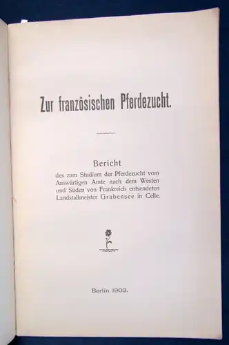 Zur französischen Pferdezucht Bericht Studium der Pferdezucht 1903  js