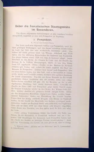 Zur französischen Pferdezucht Bericht Studium der Pferdezucht 1903  js