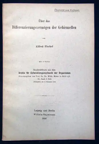 Fischel Über das Differenzierungsvermögen der Gehirnzellen 2 Tafeln 1914  js