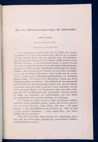 Fischel Über das Differenzierungsvermögen der Gehirnzellen 2 Tafeln 1914  js