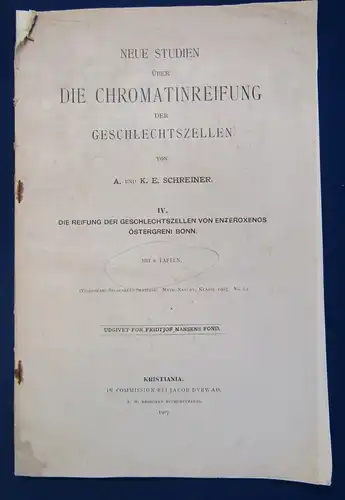 Schreiner Neue Studien über Die Chromatinreifung der Geschlechtszellen 1907 js