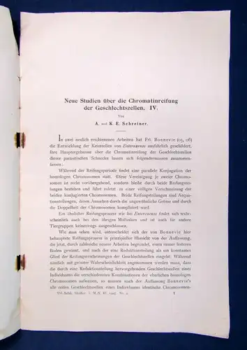 Schreiner Neue Studien über Die Chromatinreifung der Geschlechtszellen 1907 js