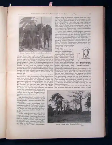 Singer Globus Illustrierte Zeitschrift f. Länder u. Völkerkunde 92. Band 1907 js