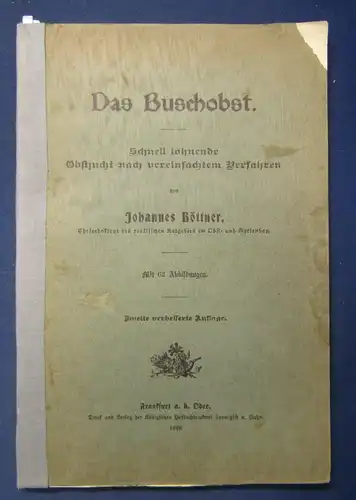 Böttner Das Buschobst 1899 selten Schnell lohnende Obstzucht Vereinfacht js