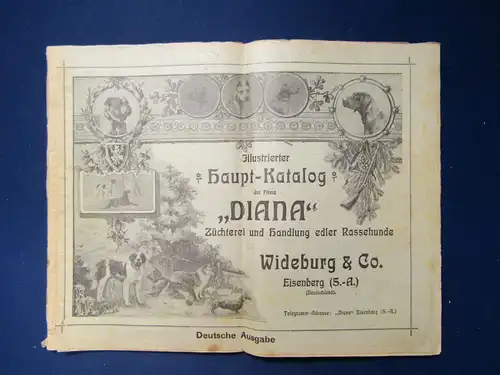 Original Illustrierter Haupt-Katalog der Hunderassen um 1920 Reklame sf
