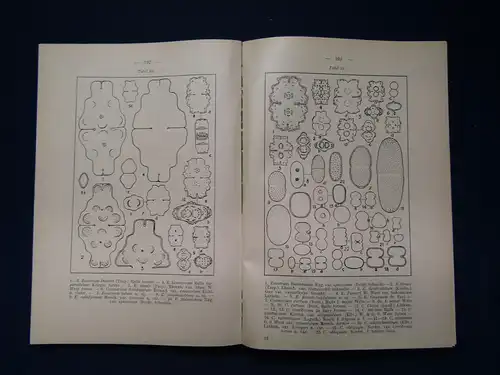 Messikommer Beitrag Kenntnis der Algenflora & Algenvegetation um Davos 1942 sf