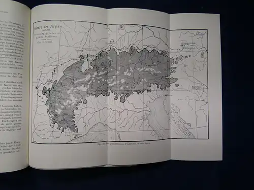 Bayer Der Mensch im Eiszeitalter 1927 Geologie Geschichte Erforschung sf