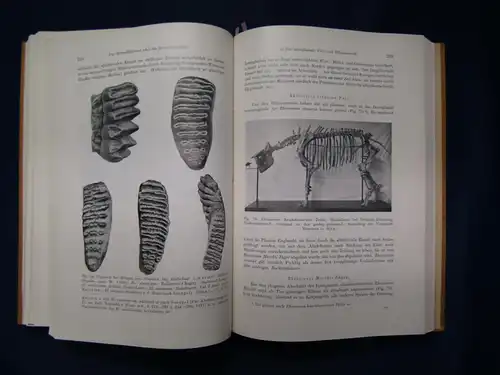 Bayer Der Mensch im Eiszeitalter 1927 Geologie Geschichte Erforschung sf