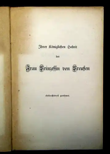 Gruppe Theudelinde, Königin der Lombarden 1849 EA Belletristik Literatur js