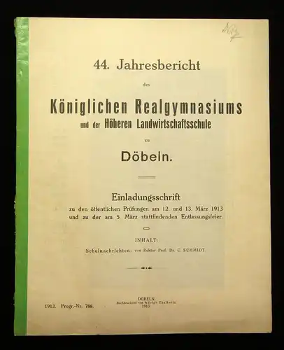 44.Jahresbericht des Kgl. Realgymnasiums u. Landwirtschaftsschule zu Döbeln 1913